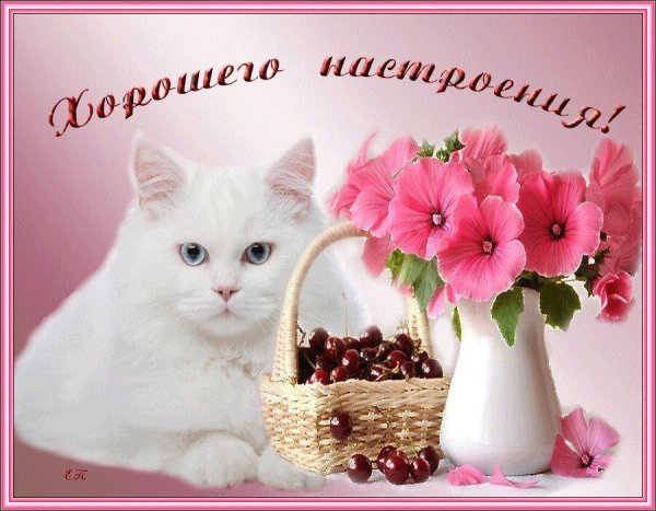 Открытки хорошего дня