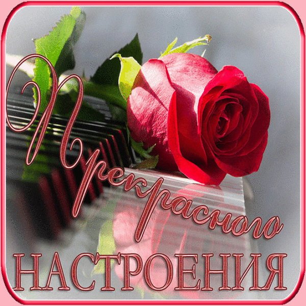 Прекрасного настроения девушке