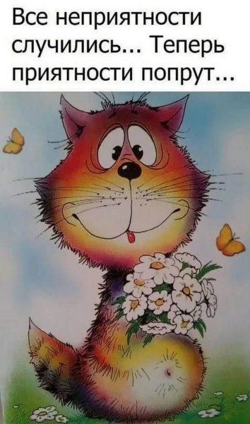 Фотографии для поднятия настроения