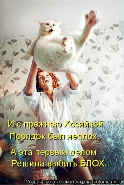Весёлые открытки для поднятия настроения