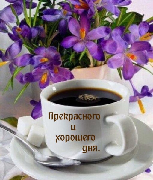 Кофе и фиалки