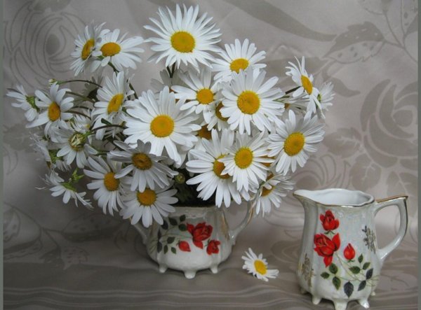 Открытки с ромашками