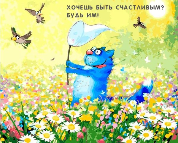 Коты Ирины Зенюк лето