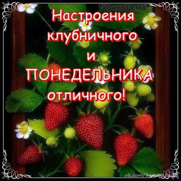 Отличного летнего понедельника