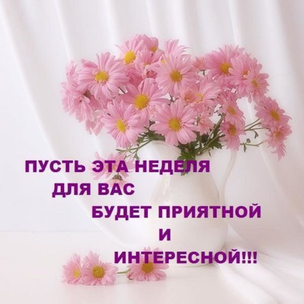 Хорошего начала недели