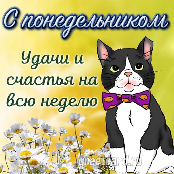 Веселые поздравления с понедельником