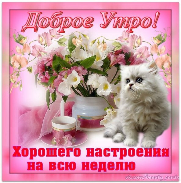 Поздравление с добрым утром