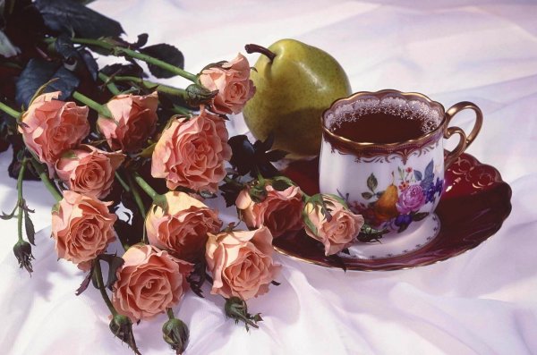 Красивые розы с добрым утром