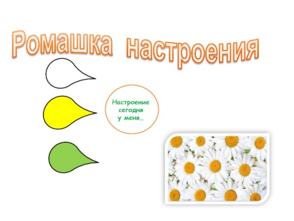 Ромашка настроения
