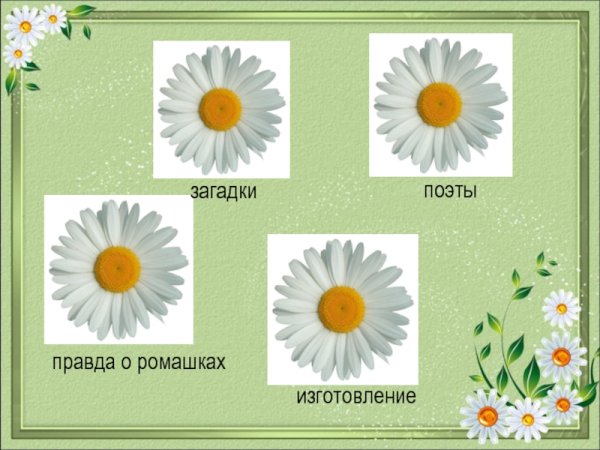 Презентация Ромашка для детей