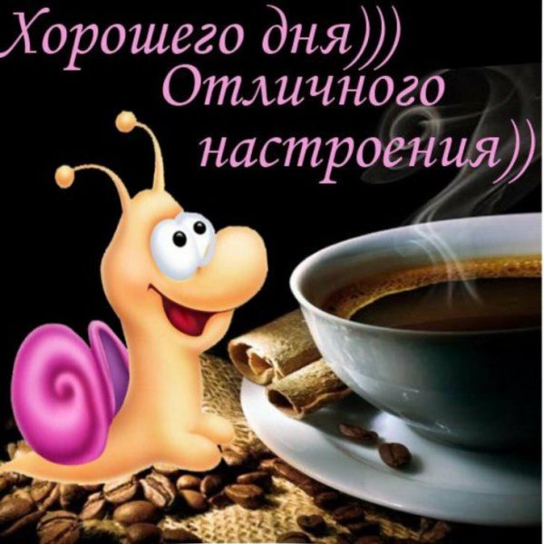 Хорошего дня и отличного настрое