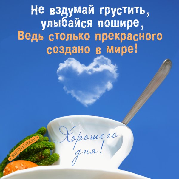 Пожелания доброго дня