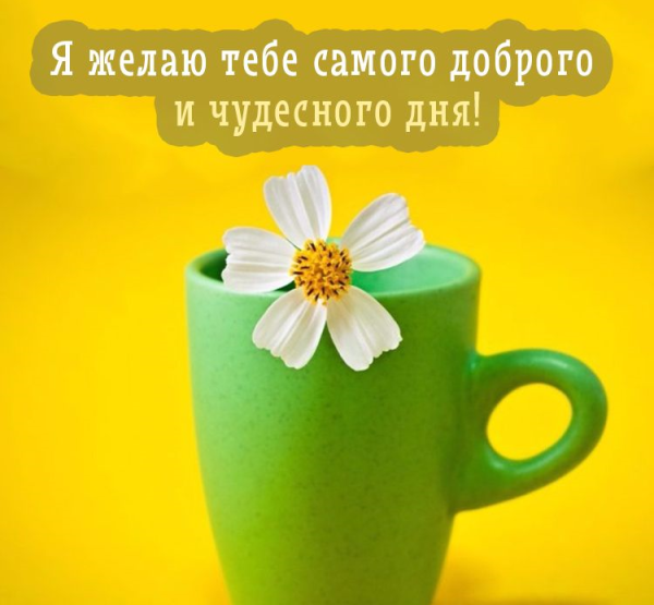 Пожелания доброго дня