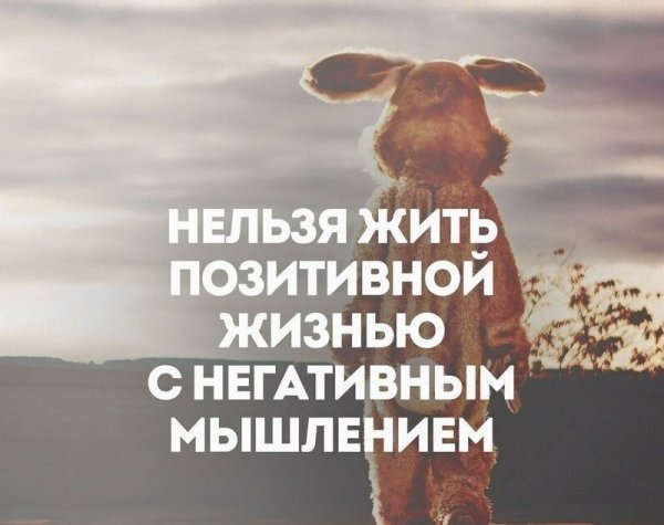 Позитивные цитаты