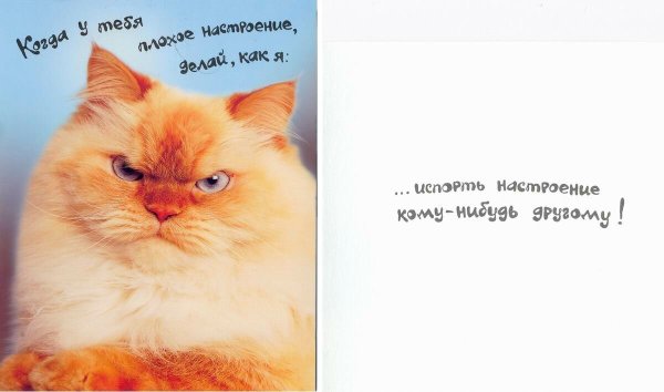 Открытки про плохое настроение