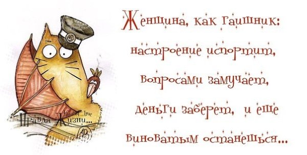 Не испортить настроение