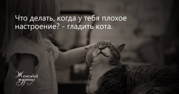 Кот в плохом настроении