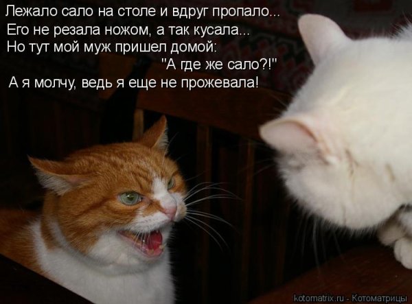 Настроение не очень