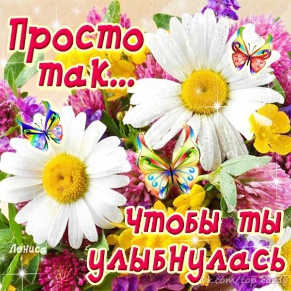 Пожелания хорошего дня ММЕ