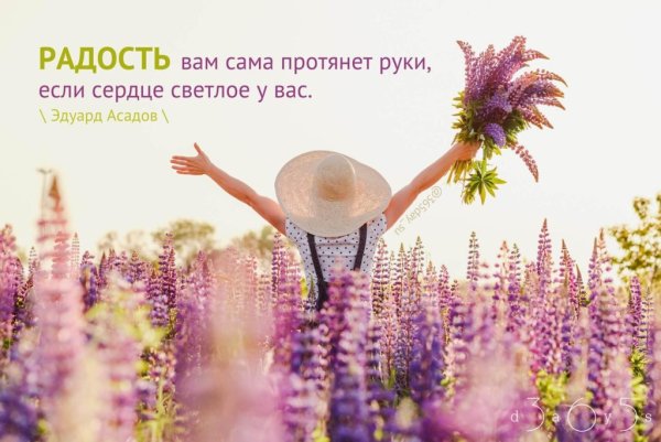 Цитаты о радости