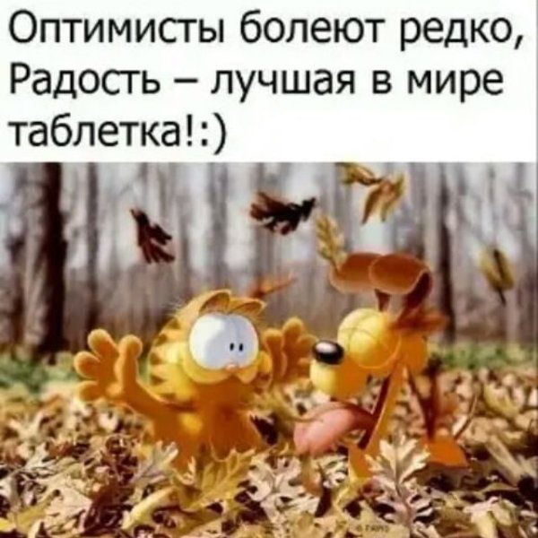 Цитаты про осень смешные