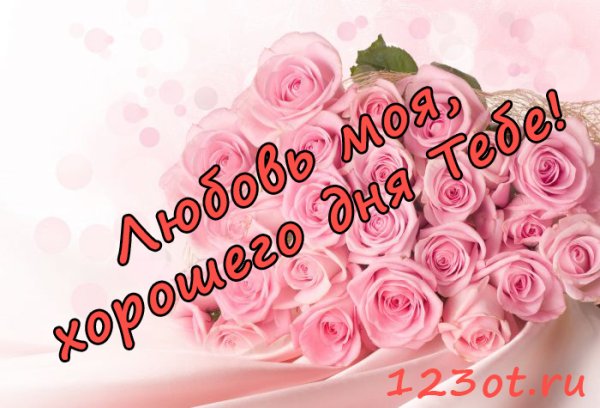 Хорошего дня любимая