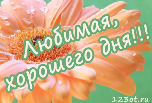 Хорошего дня любимая