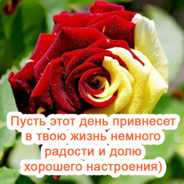 Поздравления с добрым утром хорошему человеку
