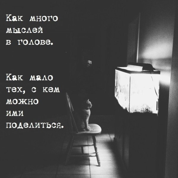 Много мыслей в голове