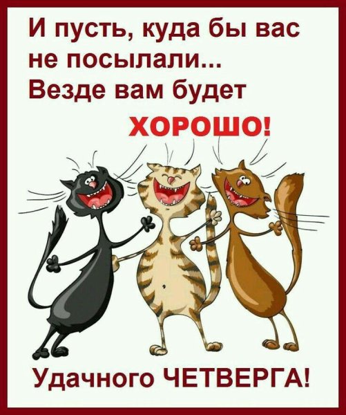 Хорошего дня юмор
