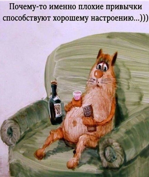Смешные высказывания про плохое настроение