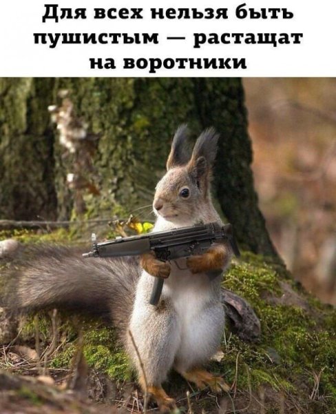 Для всех нельзя быть пушистой растащат на воротники