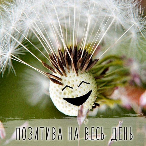 Картинки с днем комплиментов и пожеланиями позитивные
