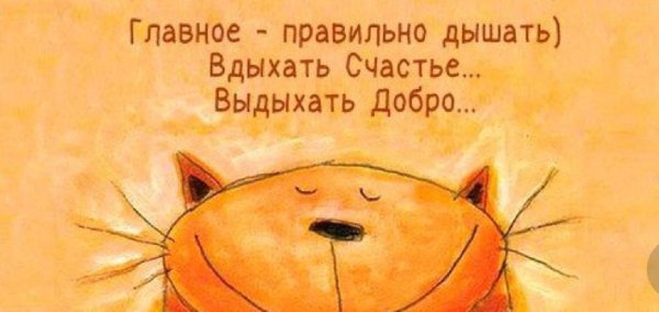 Смешные выражения для позитивного настроения счастья