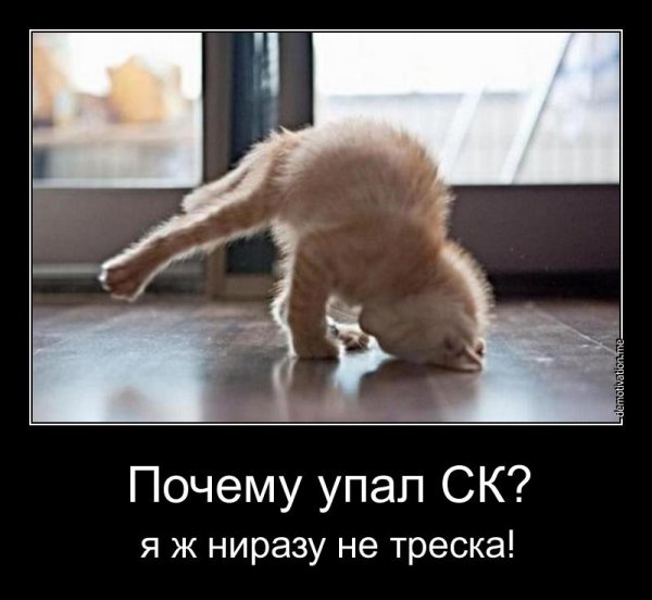 Позитивные мотиваторы для поднятия настроения