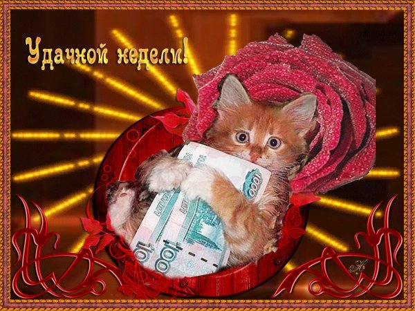 Удачной недели