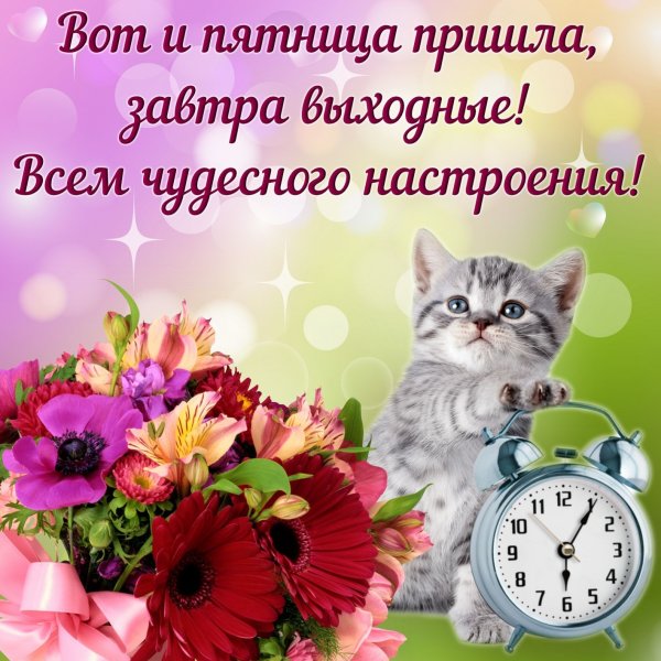 Открытки с добрым утром пятн цы
