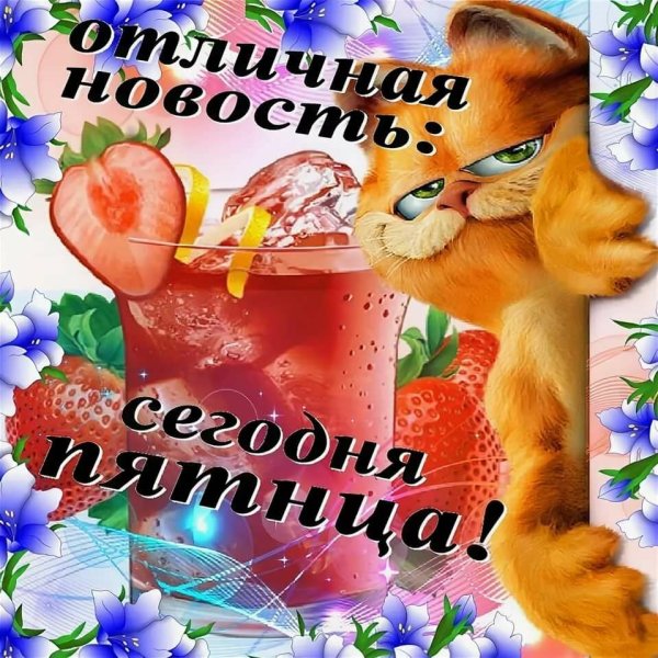 Поздравление с пятницей прикольные
