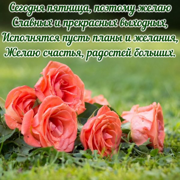 Доброе утро пятницы пожелания