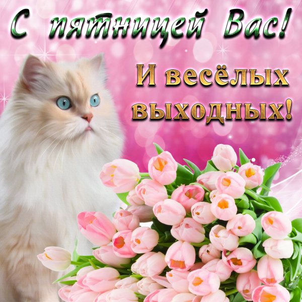 Открытки с пятницей