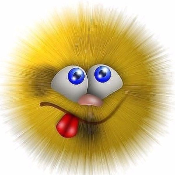 Смешные мордашки