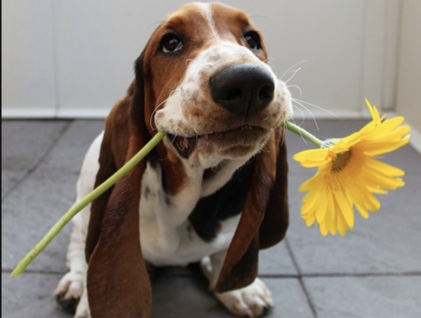 Для настроения прикольные