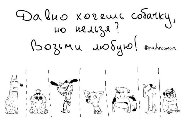 Объявления для поднятия настроения