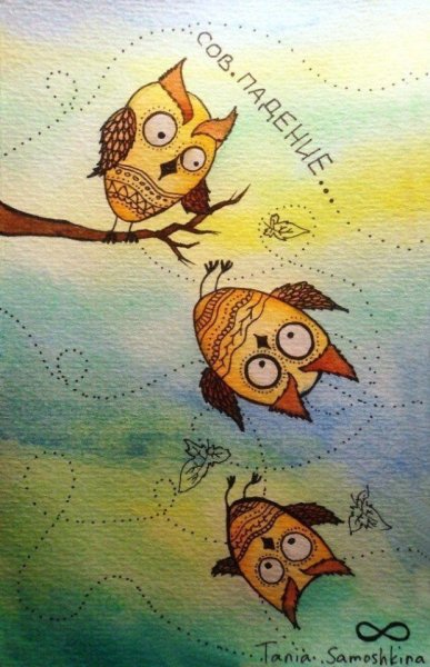 Совпадение Совы