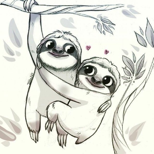 Ленивец рисунок карандашом