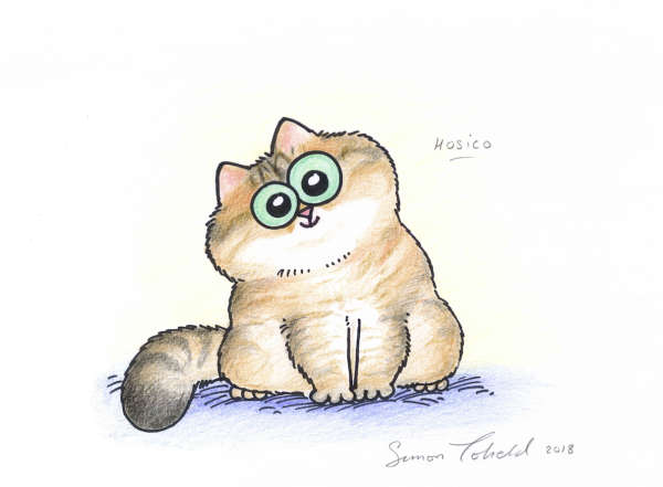 Веселые коты рисунки карандашом