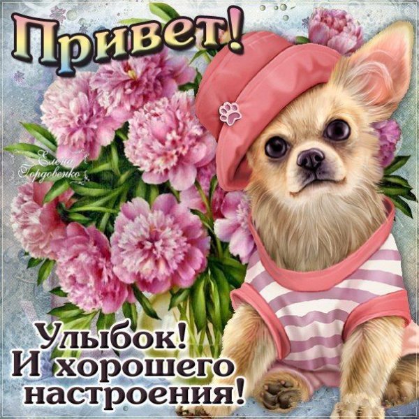 Привет хорошего дня и отличного настроения