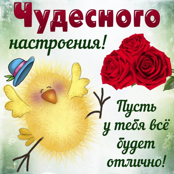 Цветы с комплиментами для девушки