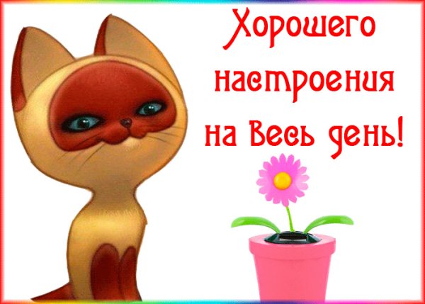 Открытки хорошего настроения мужчине