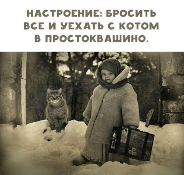 Настроение уехать с котом в Простоквашино